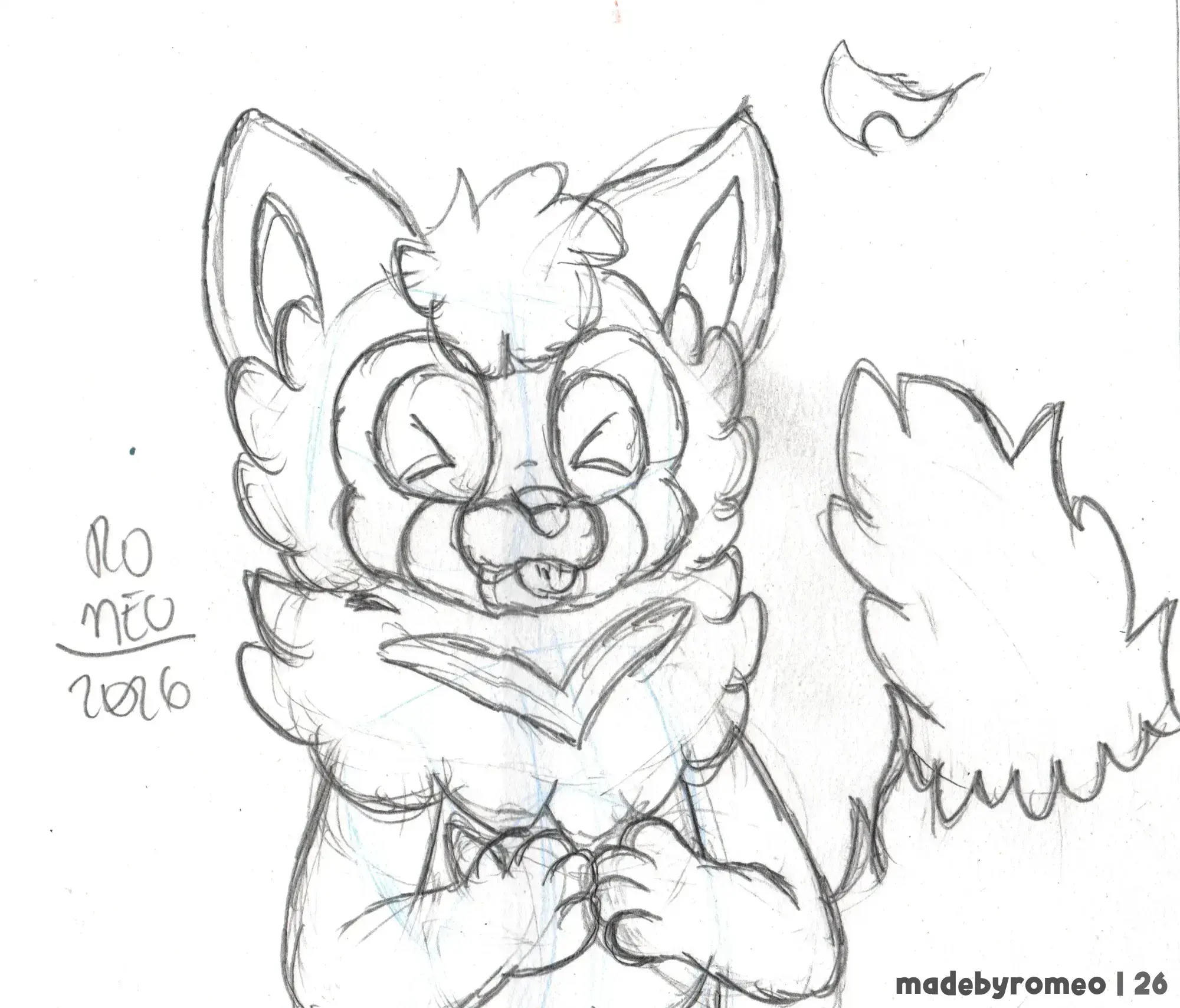 Apenas um Tanuki relaxando. Bem adorável, não?