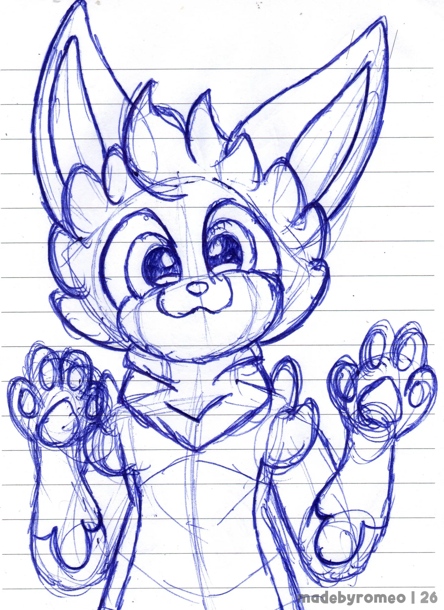 Apenas o Nicco mostrando as Patas